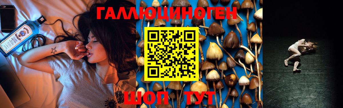 закладки  Галлюциногенные грибы GOLDEN TEACHER  Вход с VPN  Кропоткин  Галлюциногенные грибы ЛСД 