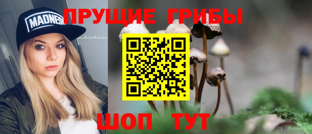Псилоцибиновые грибы мухоморы Кропоткин